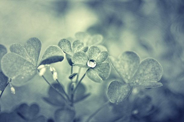 nature7