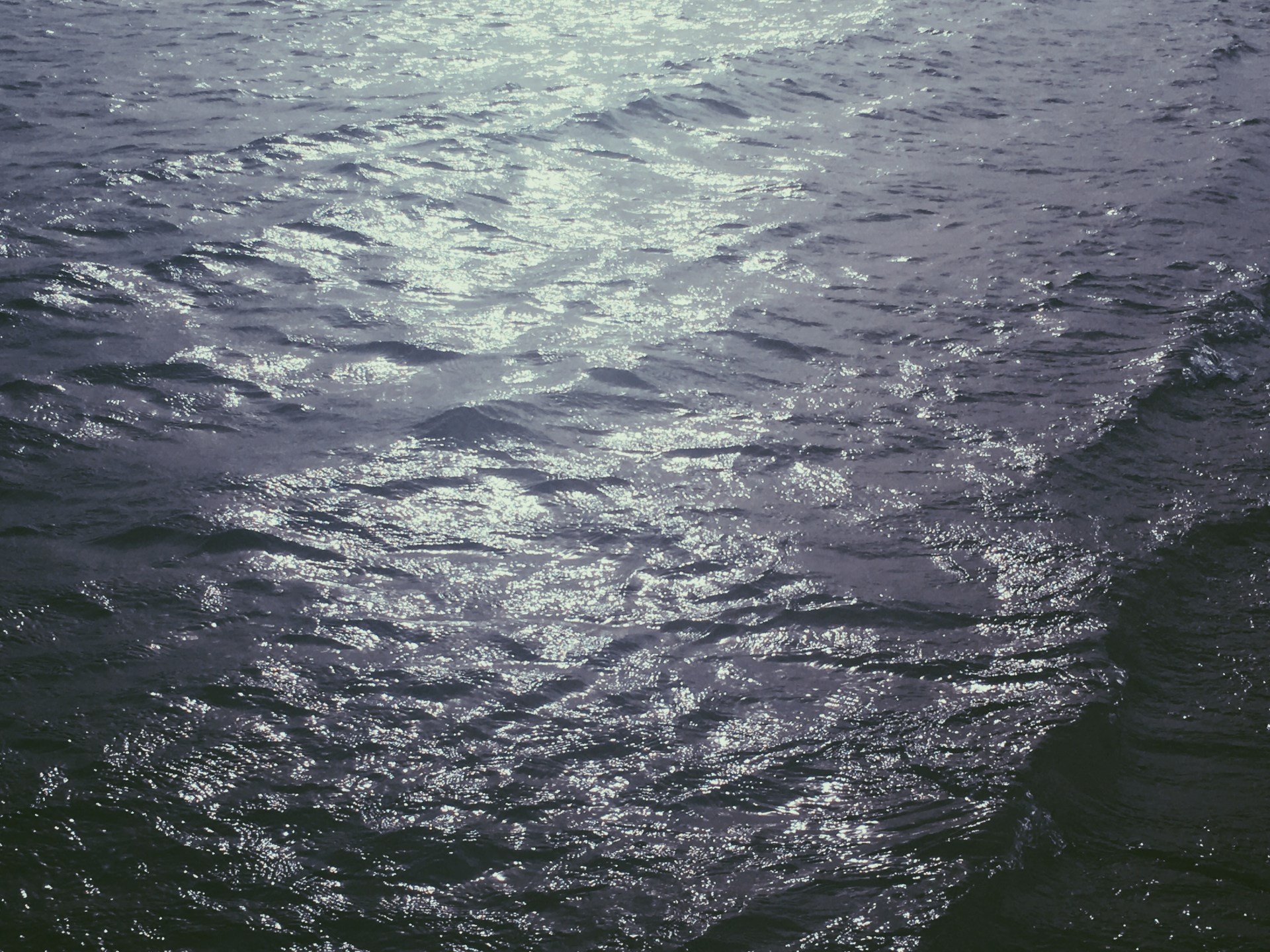 Processed with VSCO with p5 preset