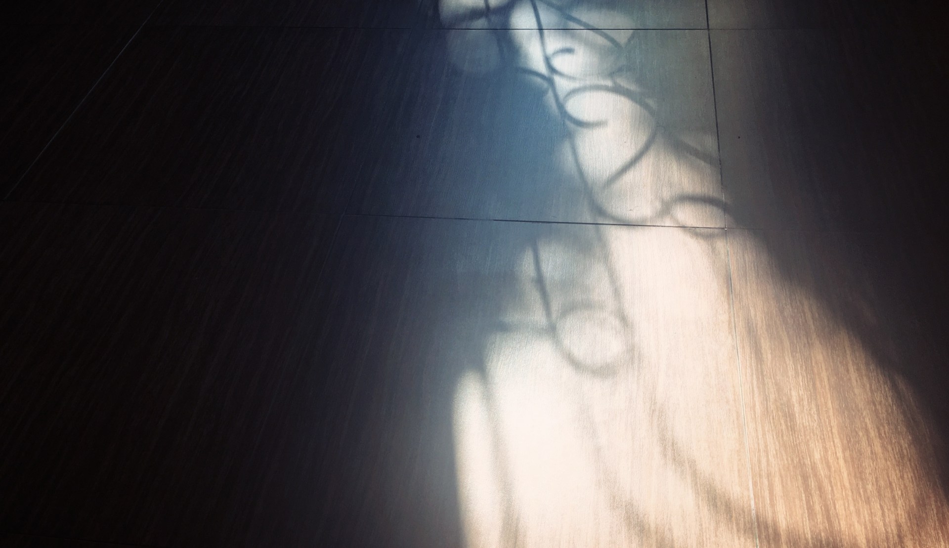 Processed with VSCO with nc preset