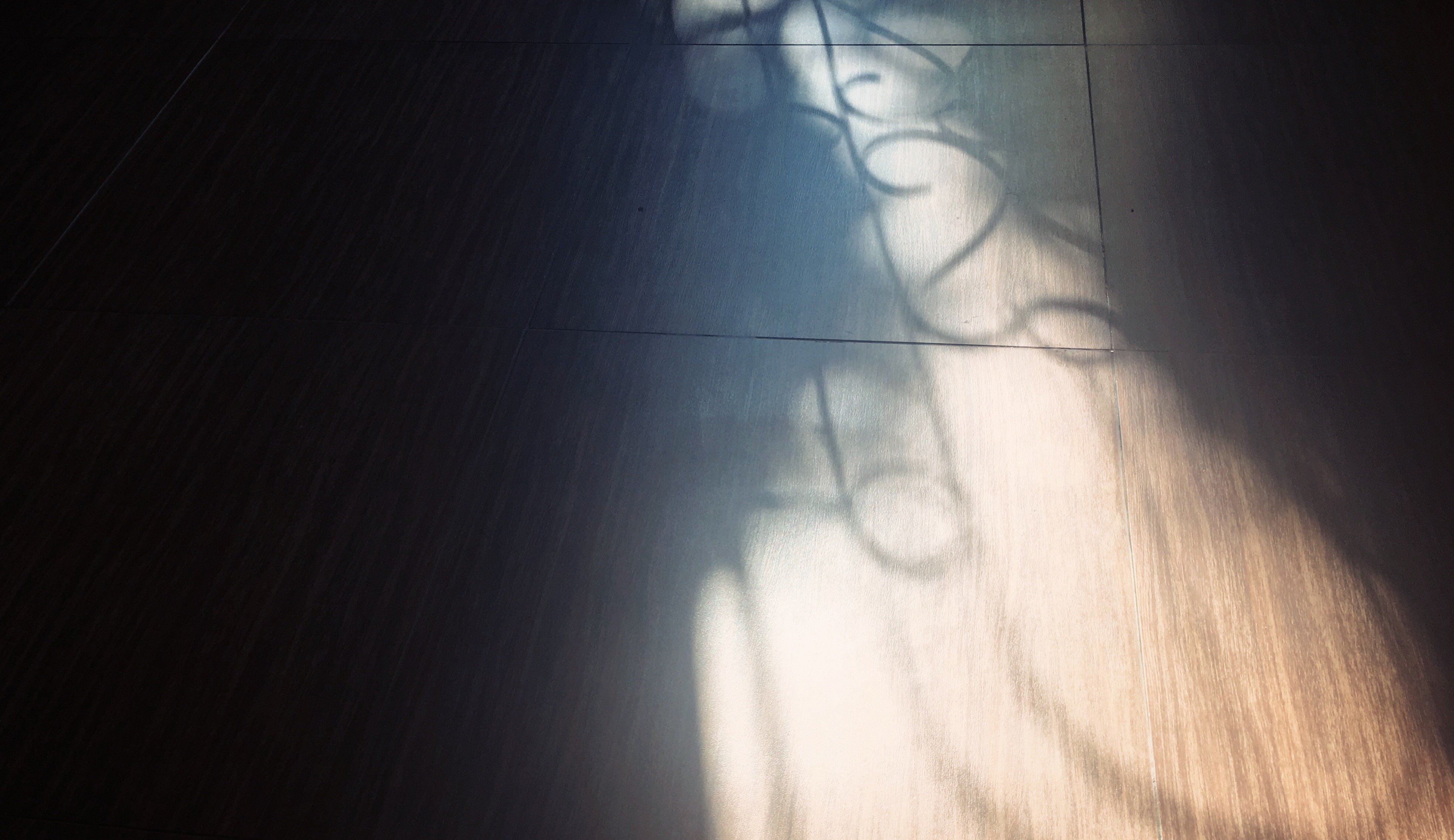 Processed with VSCO with nc preset