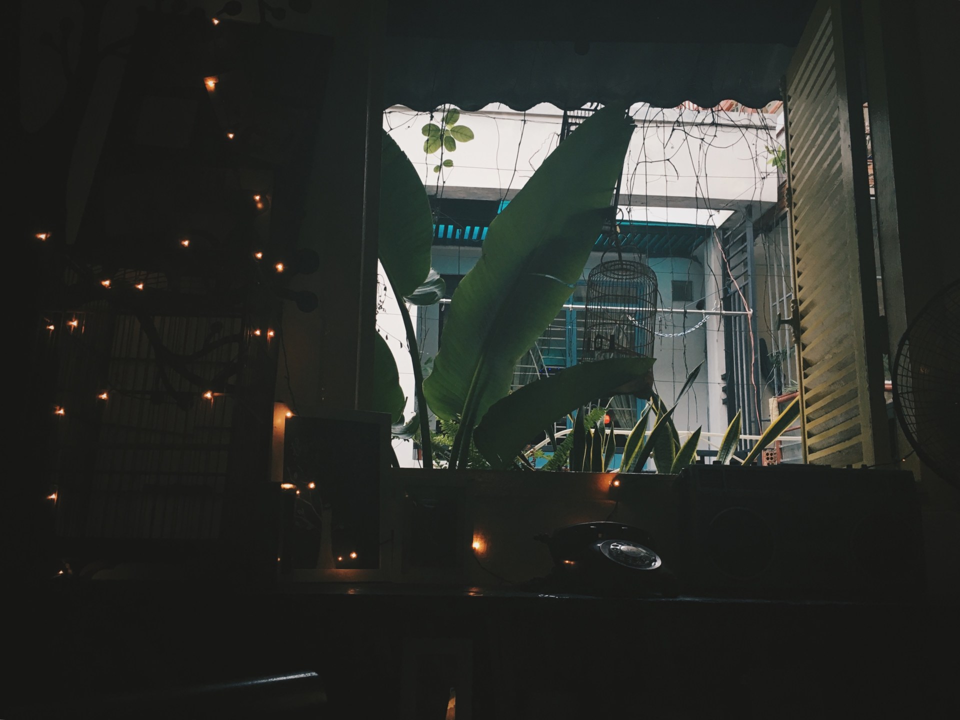 Processed with VSCO with hb2 preset