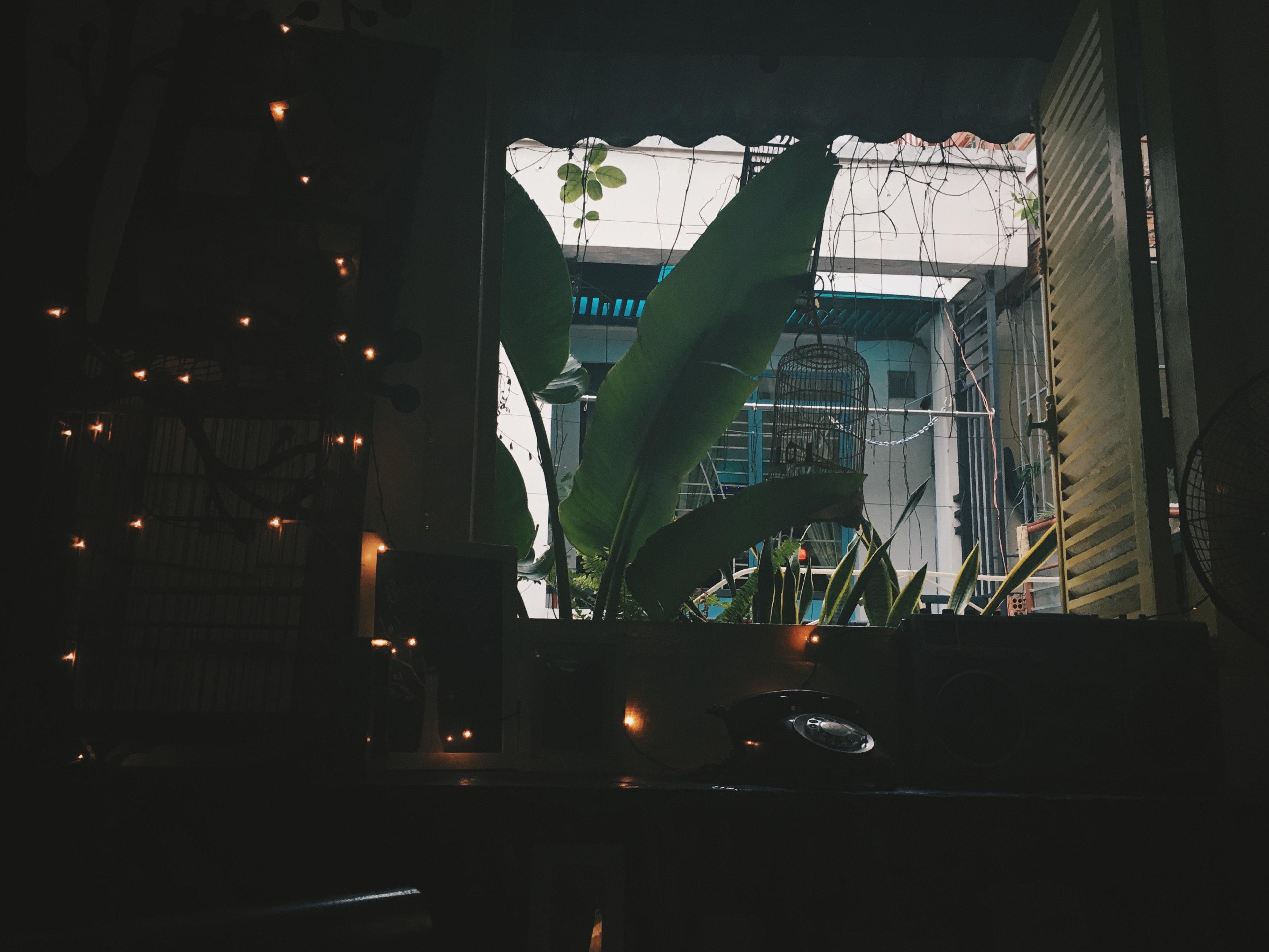 Processed with VSCO with hb2 preset